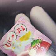 ヒメ日記 2026/02/12 09:23 投稿 すい プラチナ