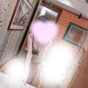 ヒメ日記 2026/02/19 12:40 投稿 すい プラチナ