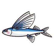 ヒメ日記 2025/05/29 13:07 投稿 ひまり(ゴールドクラス＋) 花の都～人妻の都～ 延岡店