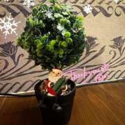 ヒメ日記 2025/12/25 10:38 投稿 ひまり(ゴールドクラス＋) 花の都～人妻の都～ 延岡店