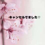 ヒメ日記 2026/03/27 11:28 投稿 ひまり(ゴールドクラス＋) 花の都～人妻の都～ 延岡店