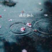 ヒメ日記 2026/04/11 09:38 投稿 ひまり(ゴールドクラス＋) 花の都～人妻の都～ 延岡店