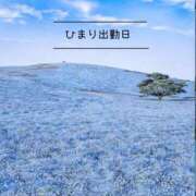 ヒメ日記 2026/04/14 22:38 投稿 ひまり(ゴールドクラス＋) 花の都～人妻の都～ 延岡店