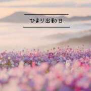 ヒメ日記 2026/04/27 06:18 投稿 ひまり(ゴールドクラス＋) 花の都～人妻の都～ 延岡店