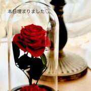 ヒメ日記 2026/06/30 10:18 投稿 ひまり(ゴールドクラス＋) 花の都～人妻の都～ 延岡店