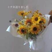 ヒメ日記 2026/07/12 12:58 投稿 ひまり(ゴールドクラス＋) 花の都～人妻の都～ 延岡店