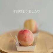ヒメ日記 2026/07/14 10:28 投稿 ひまり(ゴールドクラス＋) 花の都～人妻の都～ 延岡店