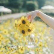 ヒメ日記 2026/07/26 06:38 投稿 ひまり(ゴールドクラス＋) 花の都～人妻の都～ 延岡店