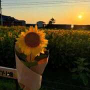 ヒメ日記 2026/10/05 15:28 投稿 ひまり(ゴールドクラス＋) 花の都～人妻の都～ 延岡店