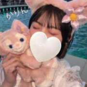 ヒメ日記 2025/04/16 13:12 投稿 かりん 今こそ!にゃんにゃん学園