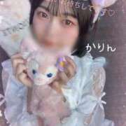 ヒメ日記 2025/04/17 17:09 投稿 かりん 今こそ!にゃんにゃん学園