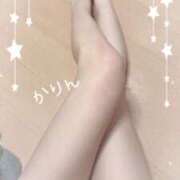 ヒメ日記 2025/04/20 03:27 投稿 かりん 今こそ!にゃんにゃん学園