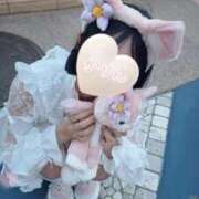 ヒメ日記 2025/04/25 18:12 投稿 かりん 今こそ!にゃんにゃん学園