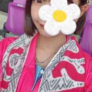 ヒメ日記 2025/05/04 17:27 投稿 かりん 今こそ!にゃんにゃん学園