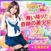 ヒメ日記 2025/09/22 03:14 投稿 かりん 今こそ!にゃんにゃん学園