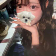 ヒメ日記 2025/09/12 20:50 投稿 れむ マシュマロフロート