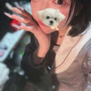 ヒメ日記 2025/09/21 21:36 投稿 れむ マシュマロフロート