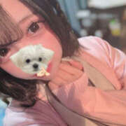 ヒメ日記 2025/11/16 17:40 投稿 れむ マシュマロフロート