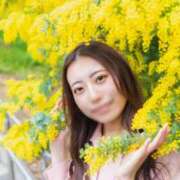 ヒメ日記 2025/04/12 09:38 投稿 ひまり ナイスレディ