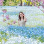 ヒメ日記 2025/04/22 12:04 投稿 ひまり ナイスレディ