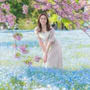 ヒメ日記 2025/05/02 07:52 投稿 ひまり ナイスレディ