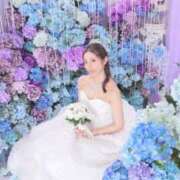 ヒメ日記 2025/06/24 08:23 投稿 ひまり ナイスレディ