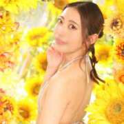 ヒメ日記 2025/08/04 12:01 投稿 ひまり ナイスレディ