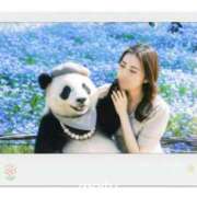 ヒメ日記 2025/10/13 09:40 投稿 ひまり ナイスレディ