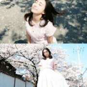 ヒメ日記 2026/03/13 08:11 投稿 ひまり ナイスレディ