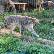 ヒメ日記 2025/06/03 13:00 投稿 真矢 出会い系人妻ネットワーク 五反田～品川編