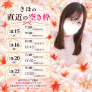 ヒメ日記 2026/10/15 07:05 投稿 きほ バイオレンス