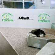 ヒメ日記 2025/08/09 19:16 投稿 とあ ENTERTAINMENT SOAP LOVE VEGAS(ラブベガス)