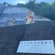 ヒメ日記 2025/09/08 22:26 投稿 とあ ENTERTAINMENT SOAP LOVE VEGAS(ラブベガス)