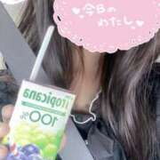 ヒメ日記 2025/07/24 09:30 投稿 ねいろ☆幼い顔立ち未経験JK JKサークル