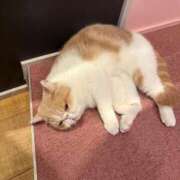 ヒメ日記 2025/09/12 15:46 投稿 ねいろ☆幼い顔立ち未経験JK JKサークル