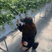 ヒメ日記 2026/04/01 10:02 投稿 ねいろ☆幼い顔立ち未経験JK JKサークル