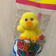 ヒメ日記 2026/04/19 09:31 投稿 ななこ PRISM(都城)