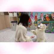 ヒメ日記 2025/04/11 22:20 投稿 てんま まだ舐めたくて学園渋谷校〜舐めたくてグループ〜