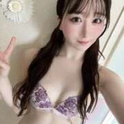 ヒメ日記 2025/04/16 01:51 投稿 てんま まだ舐めたくて学園渋谷校〜舐めたくてグループ〜