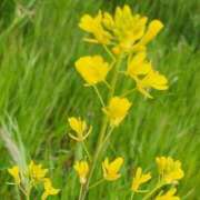 ヒメ日記 2025/04/10 08:19 投稿 まい 香川高松ちゃんこ