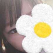 ヒメ日記 2025/04/10 19:39 投稿 まい 香川高松ちゃんこ