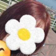 ヒメ日記 2025/04/15 22:23 投稿 まい 香川高松ちゃんこ