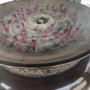 ヒメ日記 2026/02/08 09:30 投稿 永島みほ 若奥サマンサ（横浜ハレ系）