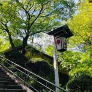 ヒメ日記 2026/05/09 09:43 投稿 永島みほ 若奥サマンサ（横浜ハレ系）
