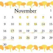 ヒメ日記 2025/11/02 19:48 投稿 轟のん 聖リッチ女学園