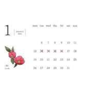 ヒメ日記 2026/01/05 19:48 投稿 轟のん 聖リッチ女学園