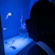 ヒメ日記 2025/04/08 19:31 投稿 すずか しろうと娘in新宿