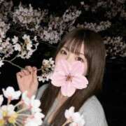 ヒメ日記 2026/04/09 18:55 投稿 ハルヒ ソープランド マックス