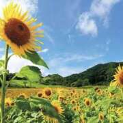 ヒメ日記 2025/08/10 22:36 投稿 くみ 那須塩原人妻花壇