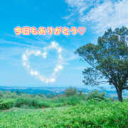 ヒメ日記 2025/08/28 16:18 投稿 くみ 那須塩原人妻花壇